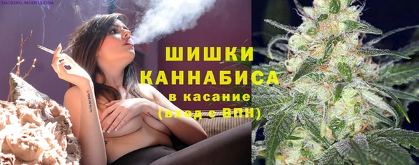 соль ск Краснослободск