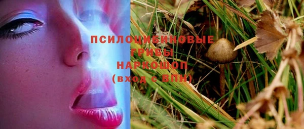 a pvp Краснотурьинск